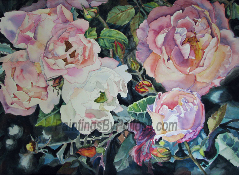 Antique Roses