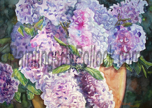 hydrangeas in vase